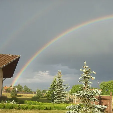 Lila Akac Vendeghaz Dabrony