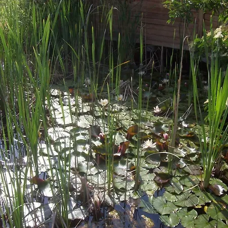 Penzion Lila Akac Vendeghaz 4*